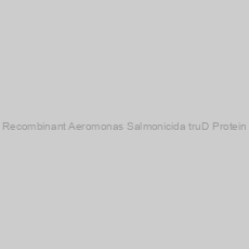 Image of Recombinant Aeromonas Salmonicida truD Protein